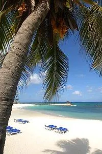 Hotel The Palmyra A Solis Resort & Spa Montego Bay